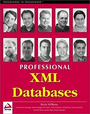 PROFESSIONAL XML DATABASES By Kevin Williams & Michael Brundage *Mint Condition*