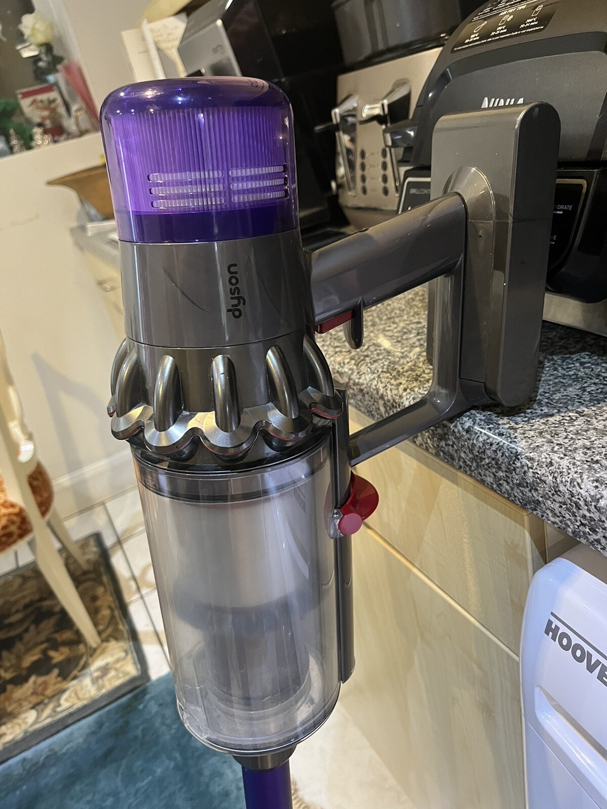 Dyson V11™ Absolute Cordless Vacuum 5025155040348 eBay