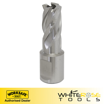 Sealey Rotabor Cutter HSS Ø15mm - Schnitttiefe 25mm Worksafe Elektrowerkzeuge Bohrereinsatz