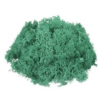 Konserviertes Rentier Moos Cyan 3Oz FüR Topfpflanzen Deko Indoor Basteln