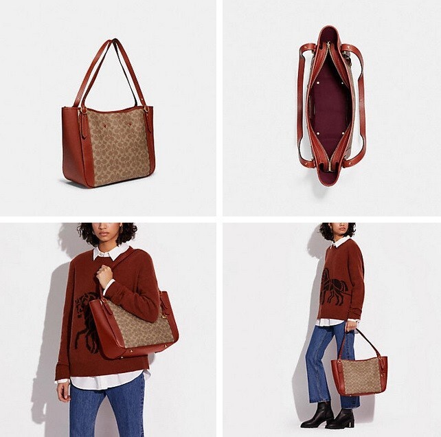 Coach ◆ C8354 Alana Tote in Signature Canvas COACH C8354 Alana Tote in Signature Canvas NWT | eBay