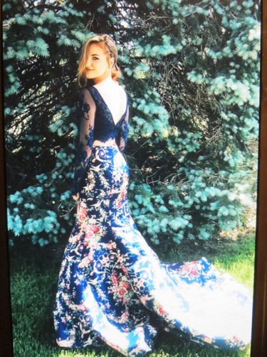 SHERRI HILL-PROM GOWN #51064 SIZE 2 
