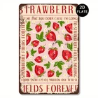Tin Metal Signs Home Décor 8x12 Inch Vintage "Strawberry Fields Forever" Lyrics