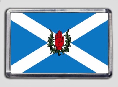 Ulster Scots rote Hand Saltire Flagge Kühlschrankmagnet