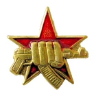 Russian Spetsnaz Special Forces Fist & AK47 Pin Badge Insignia 23mm Screwback