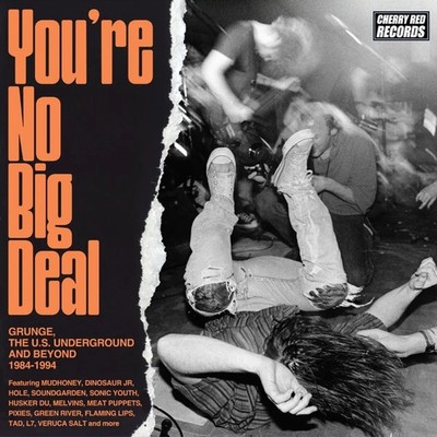 Various Artists You're No Big Deal: Grunge, the U.S. Underground and Beyond (CD)