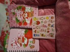 Strawberry Shortcake Notebooks And Sticker Set