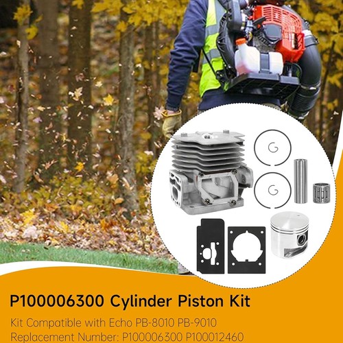 Cylinder Kit For Echo PB-8010H PB-8010T PB-9010H PB-9010T P100006300 - Picture 14 of 17