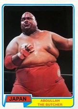 2025 LJACards "Japan tour 1980" Puroresu Wrestling Trading Cards ACEO