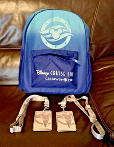 Disney Cruise Backpack | eBay