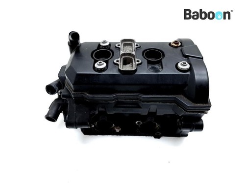 Zylinderkopf BMW F 700 GS 2017-> (F700GS 17 K70)