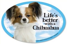 Life's better with a Chihuahua long hair  6" x 4" Oval Dog Magnet for Cars