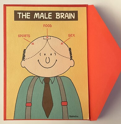 Klappkarte, Joke: '' The Male Brain'' m.  rotem Unschlag, Neu, 18 x 13,5 cm, USA