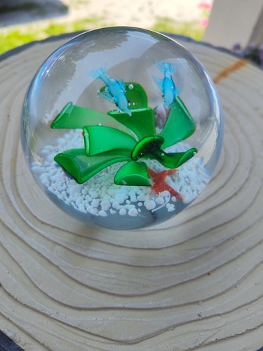 DOLPHINS over FLOWER "Dynasty Gallery" 3.5" glass PAPERWEIGHT @ Starfish/Snails