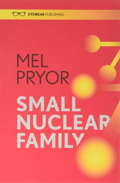 Small Nuclear Family by Mel Pryor PAPERBACK 9781908998828