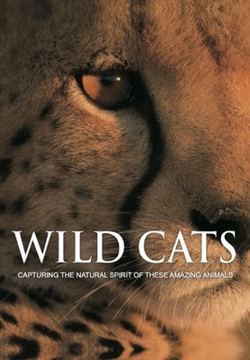 Wild Cats: Capturing the Natural Spirit of These A