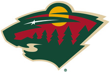 Minnesota Wild Home Made Art Photo Cards