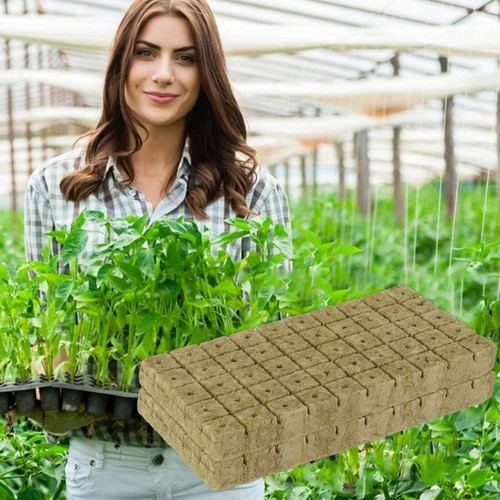 Rock Wool Grow Cubes Seed Starter Plugs Hydroponic Planting Blocks Kit - Picture 22 of 26