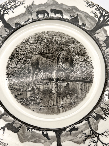 Rare Wedgwood Kruger National Park 10.75" Warthog Dinner Plate - Picture 3 of 8