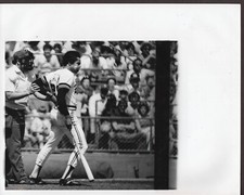 1977 ROD CAREW MINNESOTA TWINS HIT BY PITCH ORIGINAL 8x10 PHOTO @ MET STADIUM