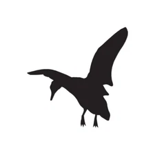 Mallard Duck - Vinyl Decal Sticker - Multiple Color & Sizes - ebn243