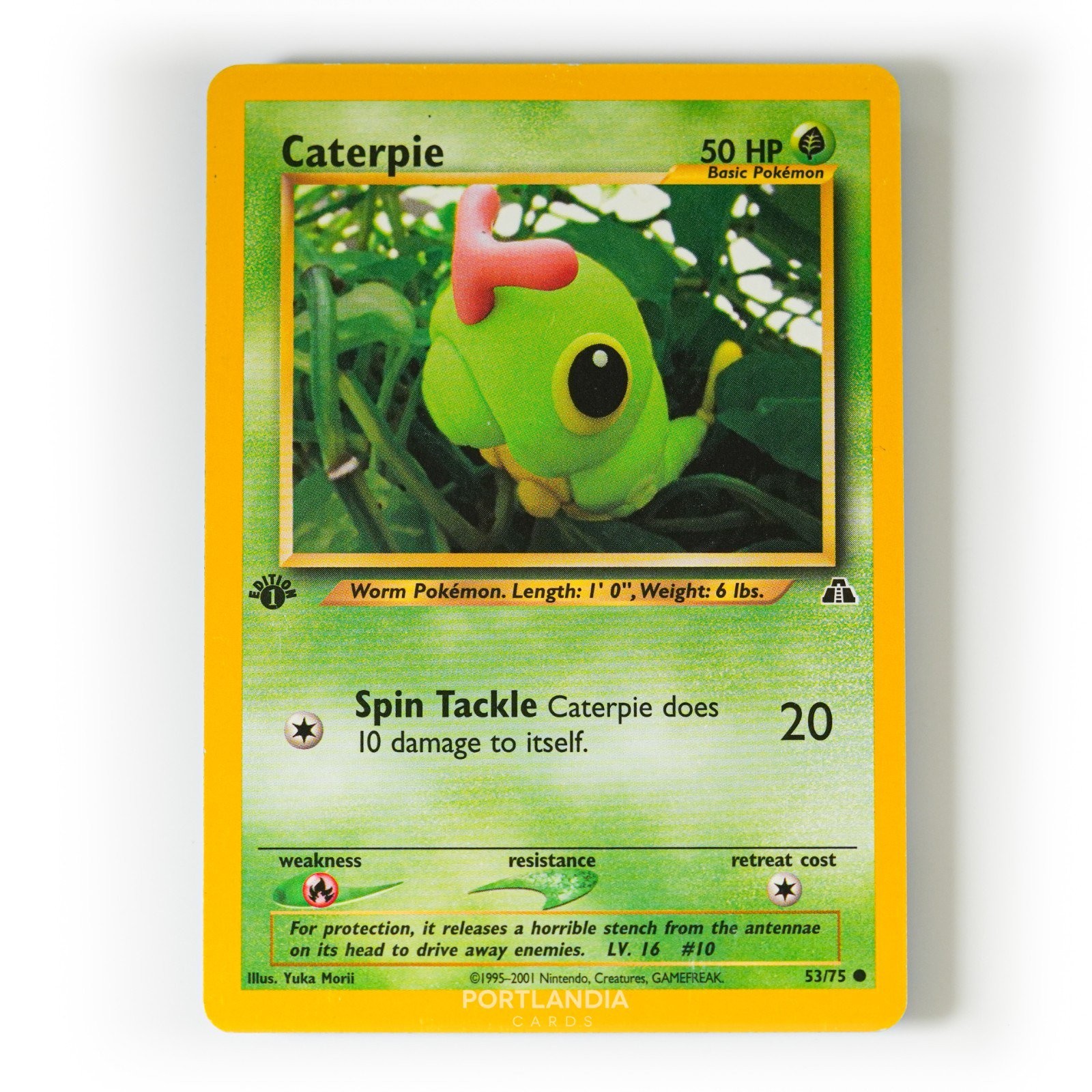 Pokemon - Caterpie - Non Holo - 53/75 - 1st Edition - Neo Discovery