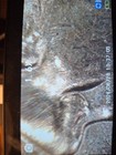2025 Dime DoD — photo 8
