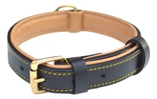 Leather Padded Dog Collar Black Adjustable Neck Strap Pet Medium 20x1 Inch