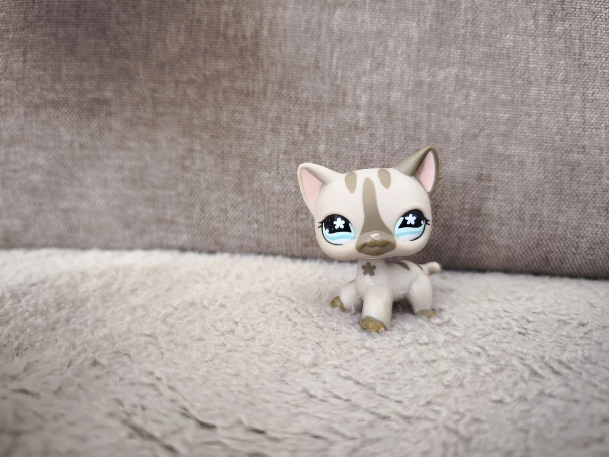 PetShop LPS chat européen 994 / Authentique