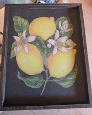 Retro picture of Lemons 11 3/4 x 14 3/4 New L...