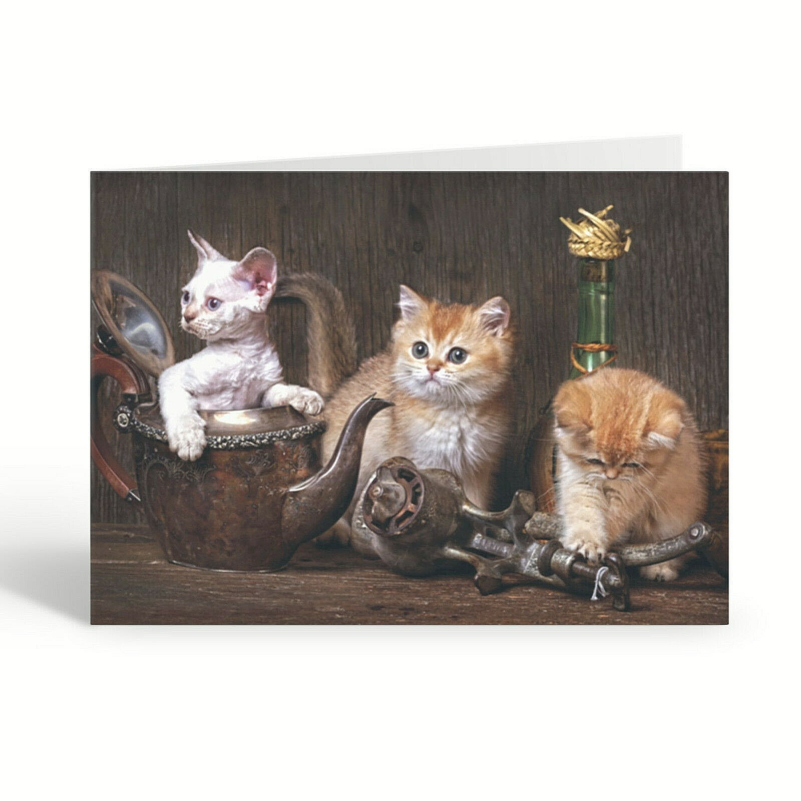 Teatime Cat and Kittens Greeting Card Blank Greetings Cards Birthday Cat Lovers