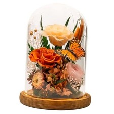 Eternal Flowers with Butterfly: Big Is Love Series-Elegant Preserved Orange1