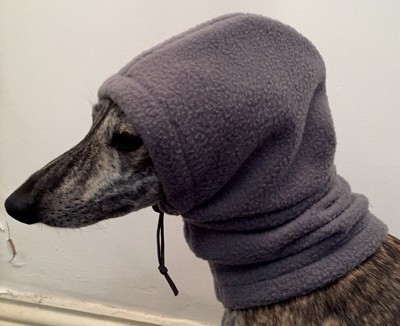 whippet turtleneck