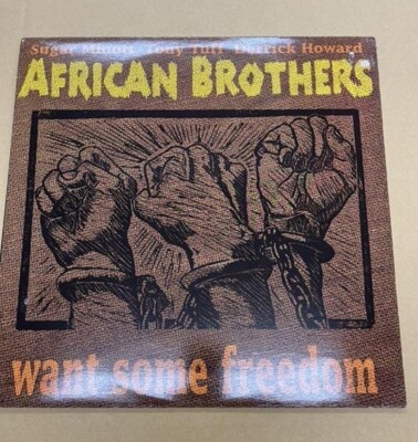 African Brothers / Want Some Freedom 12'' Vinyl 2002 US Original LP Easy Star