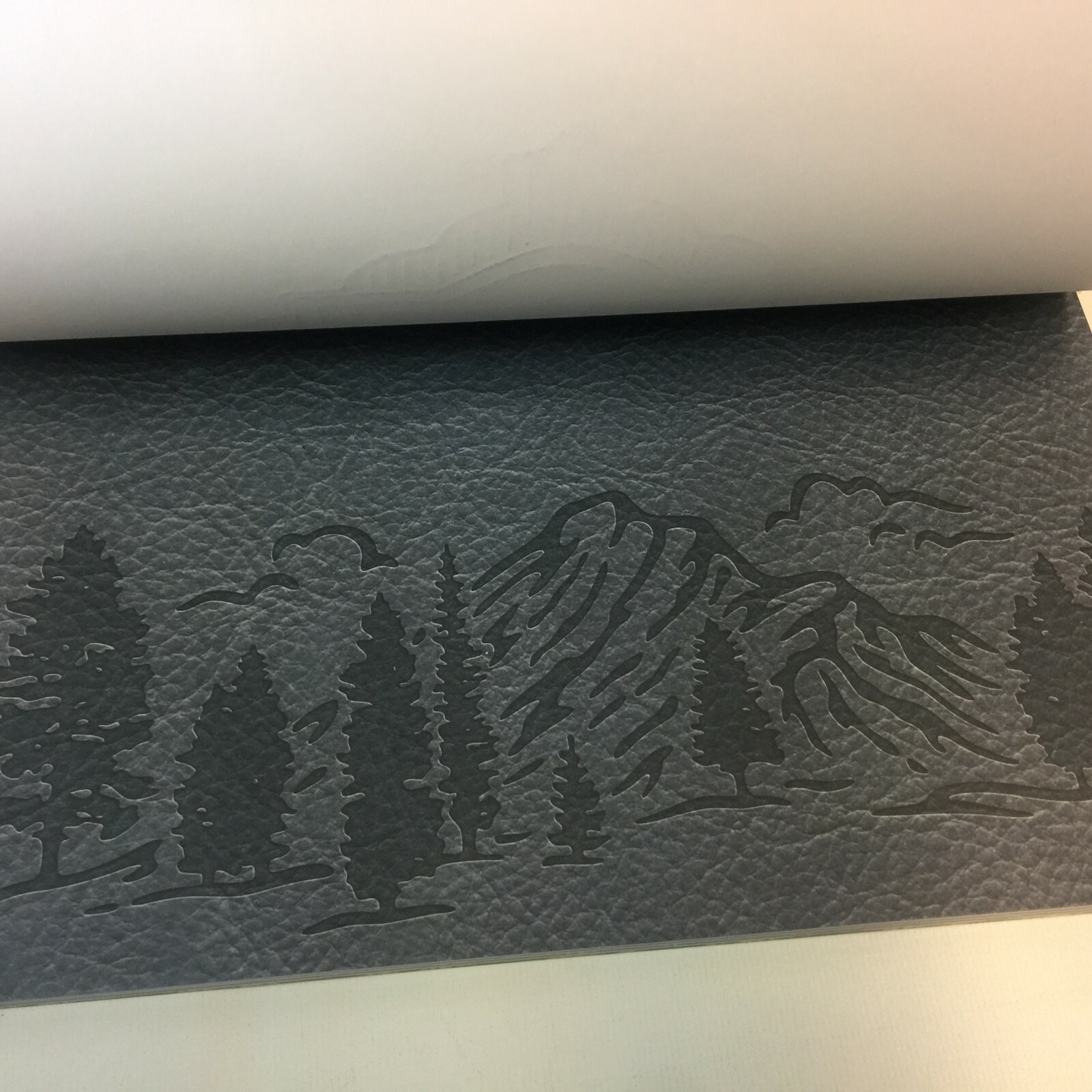 Craft Smart Cedar Lodge 12x12 Scrapbook Paper Pad 48 Sheets