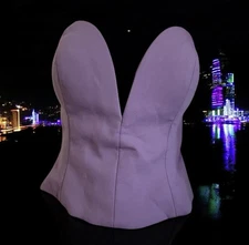 BCBGMAXAZRIA Women's Strapless Sweetheart Neck Corset lilac color size 4