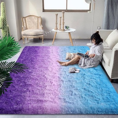 Luxury Fluffy Rugs for Living Room Bedroom, 4x6 Feet Shaggy Purple and Blue A...