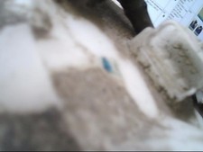 Carburateur Renault SCENIC