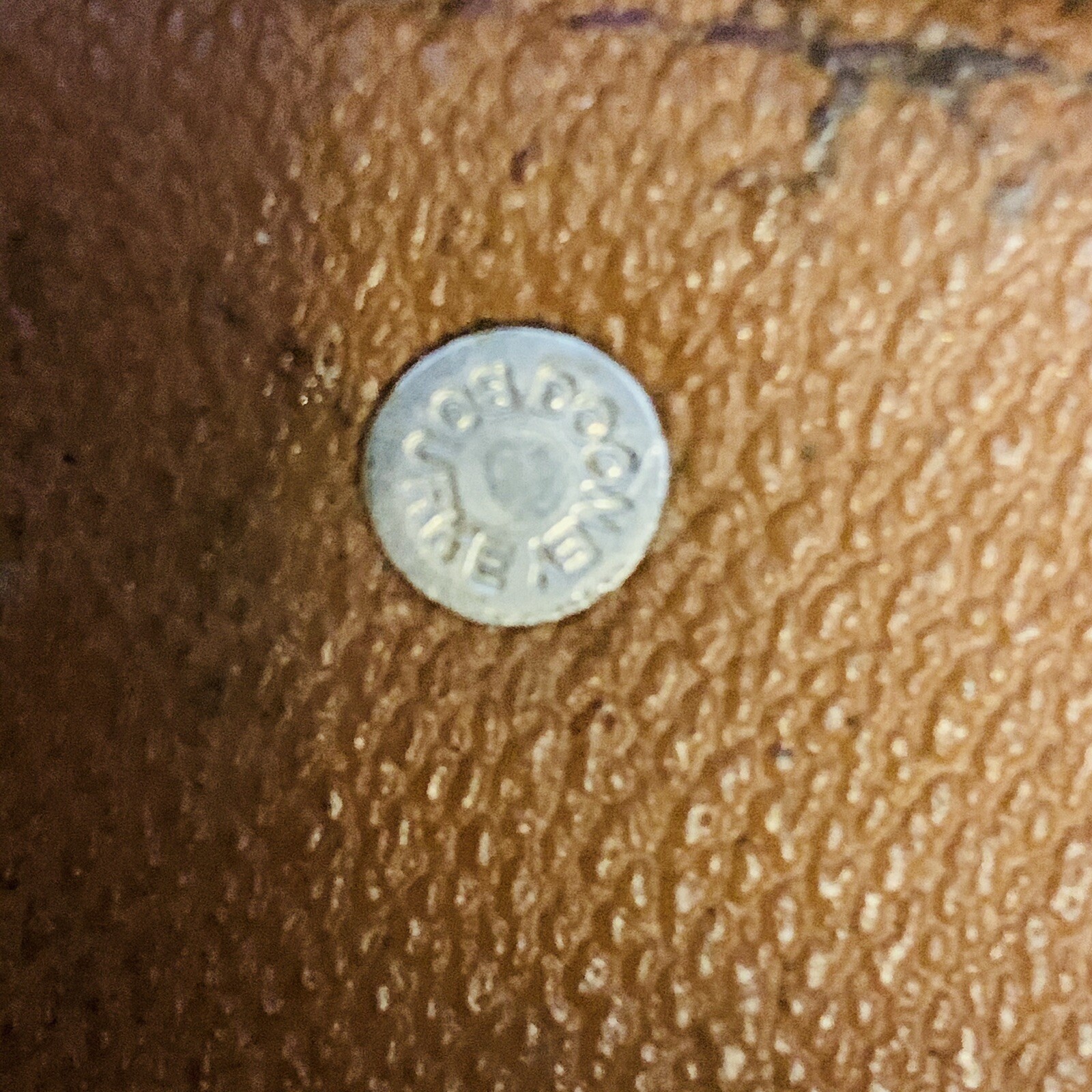 Picture 8 of 12
