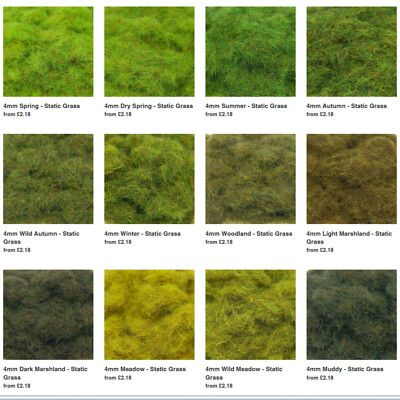 4mm Static Grass - PGS - Model Scenery Wargame Diorama Railway Warhammer FOW HO