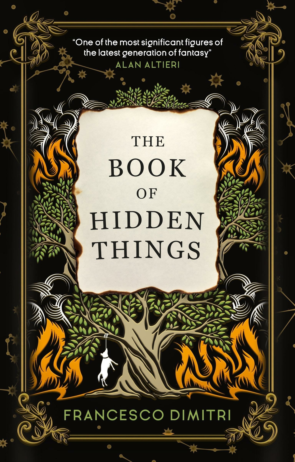 Thumbnail - The Book Of Hidden Things | Buch | 9781785657078