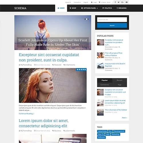 MyThemeShop Schema WordPress Theme Premium WordPress Theme - Picture 1 of 2