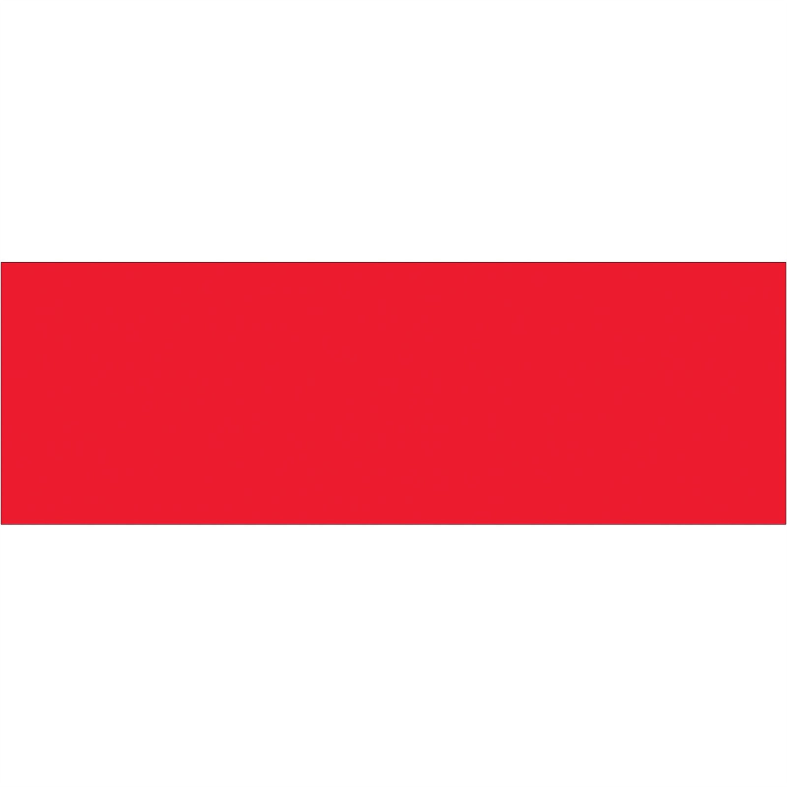 Tape Logic 3 x 9 Inch Fluorescent Red Inventory Labels 250 per Roll