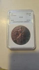 1996 American Silver Eagle MS69 With Deep Purple and Blue Peripheral Toning