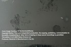 Foto 7 di 10