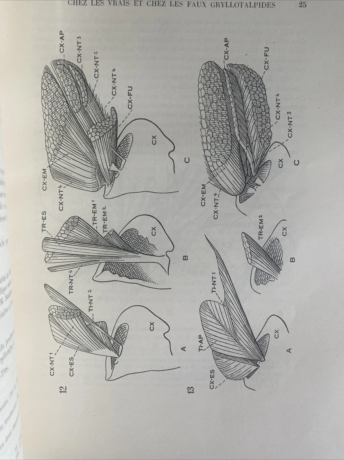 Photo 3/4