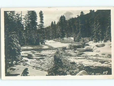 Old rppc NATURE SCENE Great Postcard : make an offer AB0461