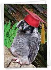 The Best Card Company - Graduation Greeting C6470BGDG Capped Creatures - Owl 