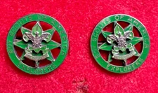 Post Advisor Explorer Collar Brass Pin Boy Scouts BSA Boy Scouts Insignia
