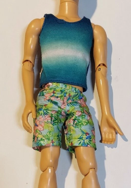 Barbie My Scene Hudson Ken Doll Articulated Jointed Rooted Hair